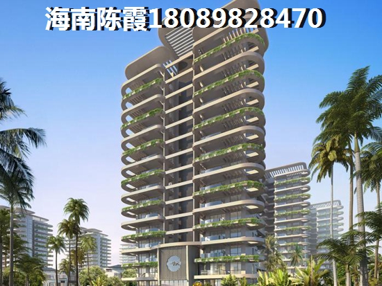 海地春天海景房2024房价跌了还是上涨了？