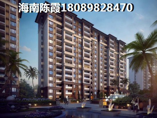 海南醉具性价比房地产